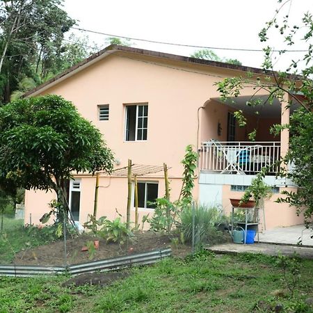 Maison Lavanne Saint-Joseph Bagian luar foto