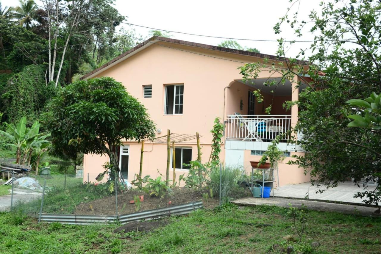 Maison Lavanne Saint-Joseph Bagian luar foto